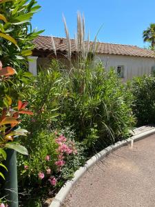 einen Garten mit Pflanzen und Blumen vor einem Haus in der Unterkunft Maison au calme dans le var in Roquebrune-sur-Argens