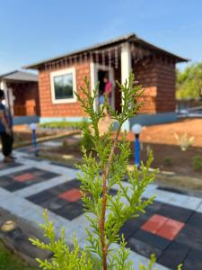 a small tree in front of a building at Yashovana Nature Stay Gokarna in Gokarna