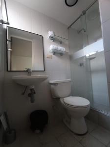 波哥大的住宿－ARENA PARK，一间带卫生间、水槽和镜子的浴室