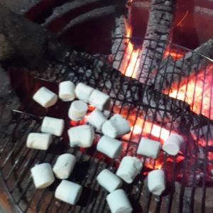 a bunch of marshmallows are cooking on a grill at AZJA@BROGA in Mantin