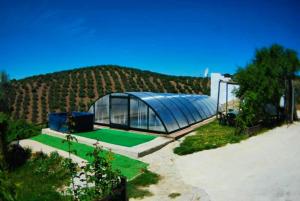 een tuin met een glazen kas en een minigolfbaan bij 6 bedrooms house with shared pool jacuzzi and wifi at Montefrio in Montefrío