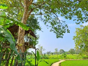a tree house next to a dirt road at The Nature Park Villa in Sigiriya