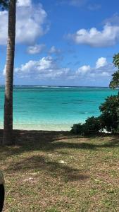 - une vue sur l'océan depuis une plage avec un palmier dans l'établissement Tilakaz Kreol, à Pointe d'Esny