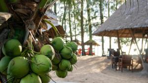 a bunch of green bananas hanging from a tree at Garden Chalets Koh Lanta in Krabi town