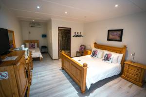 a bedroom with a large bed and a television at Olive Grove Guest Farm in Beaufort West