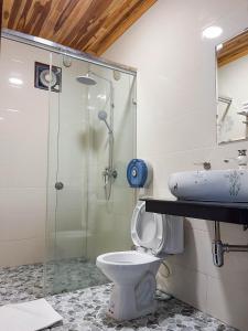 a bathroom with a shower and a toilet and a sink at Luang Prabang Villa Oasis in Luang Prabang