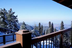 Cedar Lodges Resort and Residences Galiyat في Chhāngla Gali: شرفة مطلة على أشجار مغطاة بالثلج