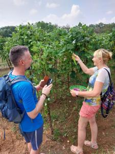 a man and a woman standing in front of a vineyard at Ridge Boundary View in Dambulla