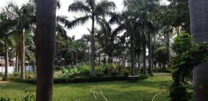 een park met palmbomen en een bank bij The Baagh Jungle Resort in Khajurāho