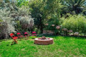 a group of chairs and a fire pit in a yard at Festina Lente Guesthouse in Johannesburg