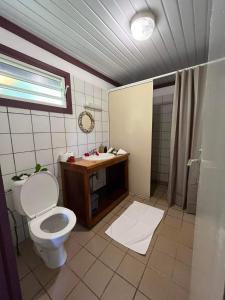 La salle de bains est pourvue de toilettes et d'un lavabo. dans l'établissement Pension Hibiscus Taha'a, à Vaitoare