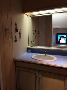 Un baño con lavabo, espejo y televisión. en Gîte de France La gloire 3 épis - Gîte de France 4 personnes MAE-6514, en Noual