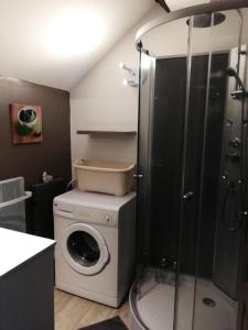 uma casa de banho com uma máquina de lavar roupa e um chuveiro em Gîte de France Les figuiers 3 épis - Gîte de France 4 personnes 544 