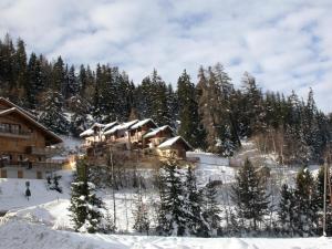 ラ・プラーニュにあるAppartement à Belle Plagne à 150m des pistes 70902の雪山スキー場