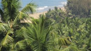 a view of a beach with palm trees and the ocean at Mahabala Valley Guest House in Gokarna