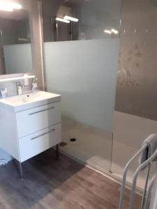 a bathroom with a sink and a shower at Gîte de France La maisonnette 3 épis - Gîte de France 4 personnes MAE-6604 in Aubazines