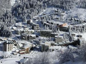uma cidade coberta de neve com edifícios e árvores em Résidence MARMOTTES - Studio pour 4 Personnes 004 em Gourette