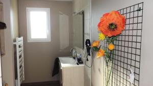 Fotografie z fotogalerie ubytování Gîte de France L'oustal du lac 3 épis - Gîte de France 4 personnes MAE-8964 v destinaci Servières-le-Château + 24 fotografií