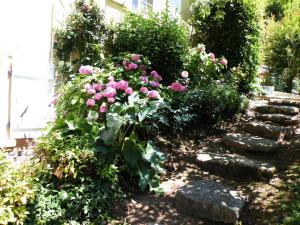 Κήπος έξω από το Gîte de France Le clos de l'etang 2 épis - Gîte de France 3 personnes MAE-9004 +5 φωτογραφίες