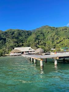 a pier in the water next to a mountain at Pension Hibiscus Taha'a in Vaitoare +36 photos