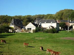 a group of cows grazing in a field with houses at Gîte de France à Turenne 3 épis - Gîte de France 6 personnes 334 in Turenne