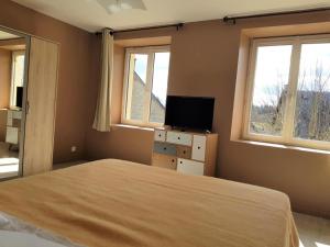 1 Schlafzimmer mit einem Bett, einem TV und 2 Fenstern in der Unterkunft Gîte de France à Alleyrat 3 épis - Gîte de France 4 personnes MAE-9324 in Alleyrat