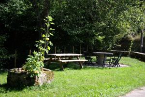 Zahrada ubytování Gîte de France à Soudeilles 3 épis - Gîte de France 14 personnes MAE-9574 + 11 fotografií