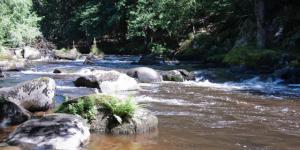 Φυσικό τοπίο κοντά σε αυτό το διαμέρισμα +6 φωτογραφίες