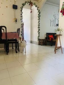Posezení v ubytování Maple Homestay