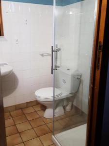 uma casa de banho com um WC e uma cabina de duche em vidro. em Gîte de France Des alpagas 3 épis - Gîte de France 6 personnes 784 em Chaumeil