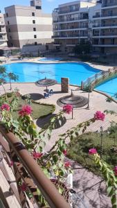 a view of a large swimming pool with pink flowers at Pyramids and Museum Resort /villa in Giza