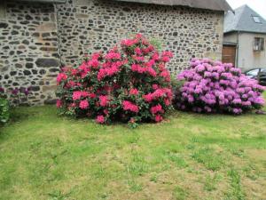 Taman di luar Gîte de France à Rilhac Xaintrie 2 épis - Gîte de France 4 personnes MAE-9914