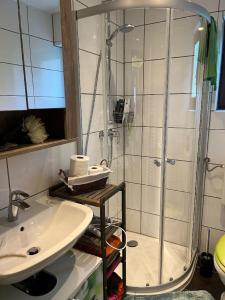 ein Bad mit einer Dusche und einem Waschbecken in der Unterkunft Feriendorf am Hohen Bogen - Haus 66 in Arrach