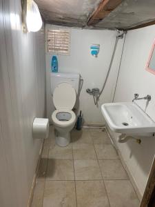 La salle de bains est pourvue de toilettes et d'un lavabo. dans l'établissement Sunthalia Olympos Bungalow, à Kumluca
