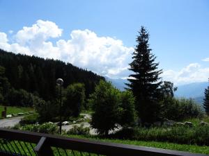 Elle offre une vue sur un jardin avec un arbre en arrière-plan. dans l'établissement Résidence Versant Sud - Appartement 2 pièces 7 personnes à Arc 1600 dans une résidence proche des pistes et des commerces MAE-1874, à Arc 1600