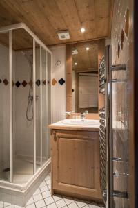 a bathroom with a shower and a sink at Les Chalets du Gypse - Appartement CHALET GYPSE A03 pour 6 Personnes 44 in Saint-Martin-de-Belleville