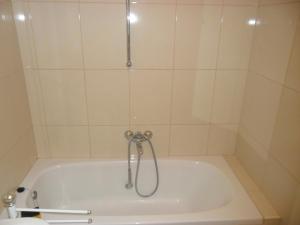a bath tub with a shower in a bathroom at Apartment Lela in Pula
