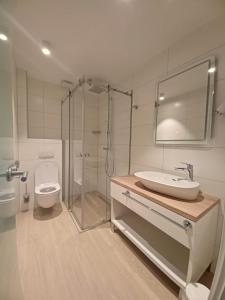 W łazience znajduje się umywalka, prysznic i toaleta. w obiekcie Šangulin Palace V w Biogradzie na Moru