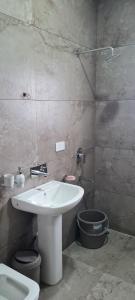 斯利那加的住宿－WOODENVILLE，一间带水槽和卫生间的浴室
