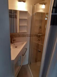 een badkamer met een douche en een wastafel bij Belle adresse pour un séjour détente et découverte in Trans-en-Provence
