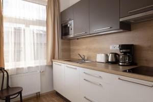 Kuchyň nebo kuchyňský kout v ubytování Anyday Apartments