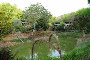 a house on a hill next to a pond at Koh Mook Bamboo Bungalows in Ko Mook