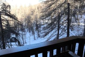 a view of a snow covered forest from a balcony at Résidence Les Ecrins - Studio pour 2 Personnes 804 in Les Orres