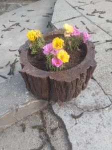 a tree stump planter with flowers in it at Attila's Guest House in Budaörs