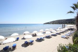 a bunch of chairs and umbrellas on a beach at Pelagos Studios by Frangki 4 in Agia Marina Aegina