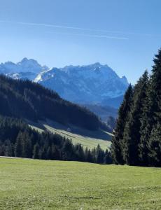 a green field with trees and mountains in the background at Vreni`s Ferienwohnung in Gais
