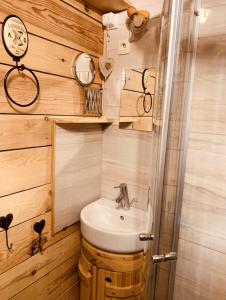 - une salle de bains avec lavabo dans une petite maison dans l'établissement Résidence Les Charmettes - Studio pour 3 Personnes 51, à Arc 1600