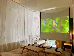 a bedroom with a tv with a bird on the screen at Super Mini Loft avec Cinéma et Jardin - Cap d'Agde in Cap d'Agde