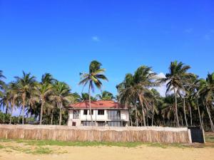 dom na plaży z palmami w obiekcie Nayan's Paradise Beach Villa w mieście Puttalam