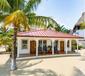a house on the beach with a palm tree at Rum Punch- Beachfront & Amenities in Placencia